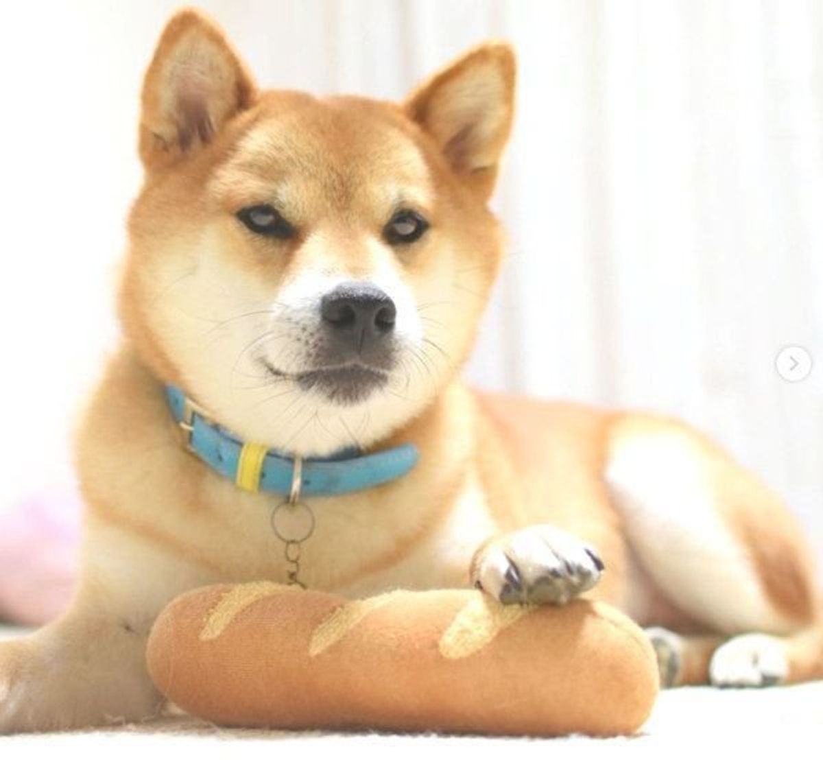 Dq7qn9chzi5vgm Dq7qn9chzi5vgm