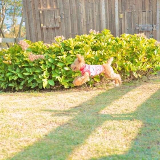 楽しそうなもなかちゃん