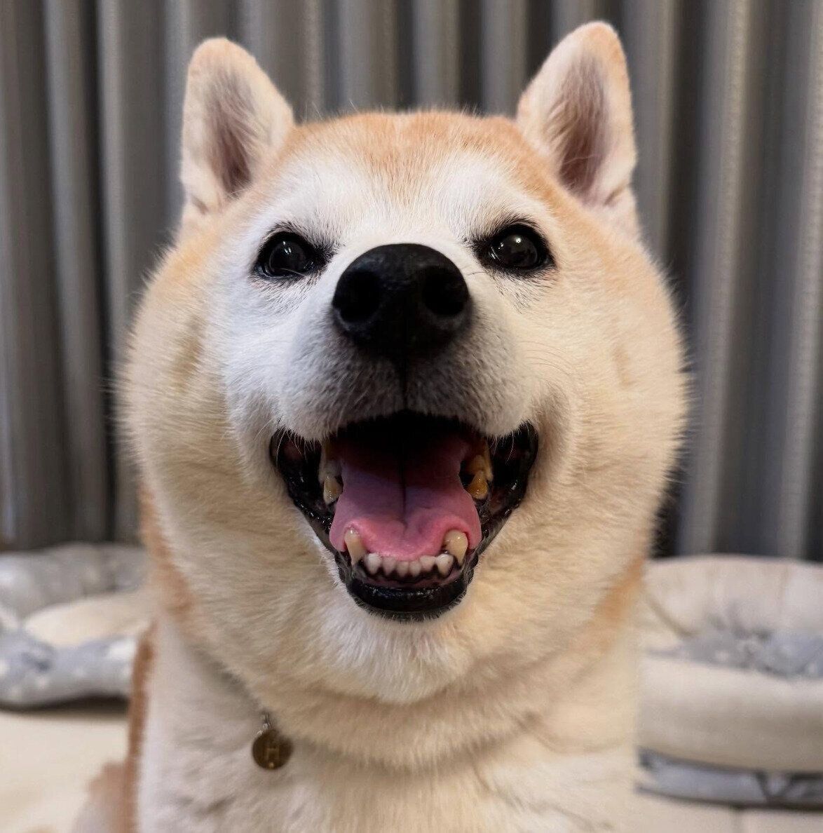 笑顔が可愛いはるくん