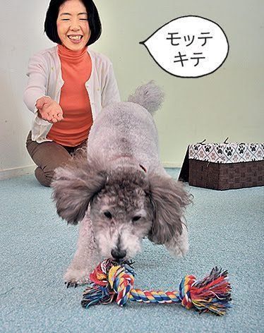 モッテキテチョーダイ遊び1