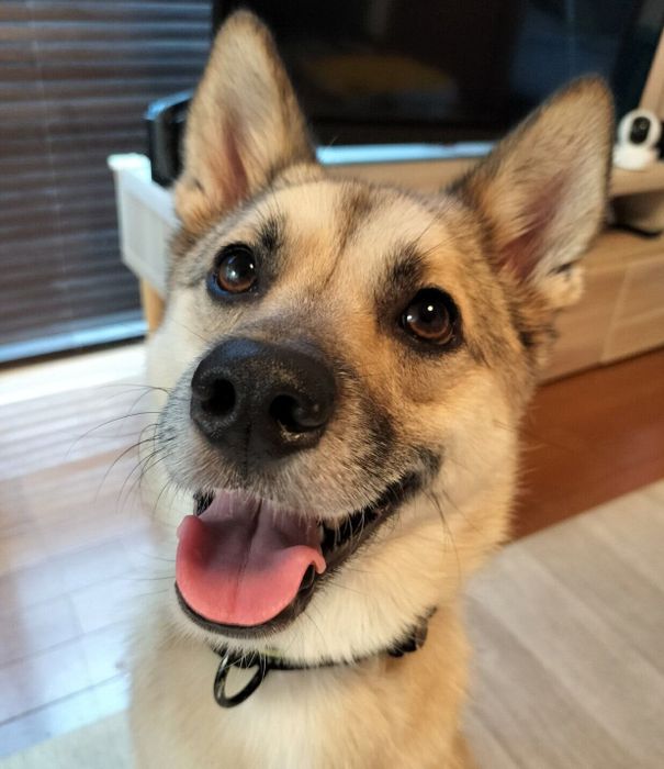 笑顔が可愛いFELIXくん