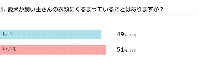 愛犬が飼い主さんの衣類にくるまっていることはある?