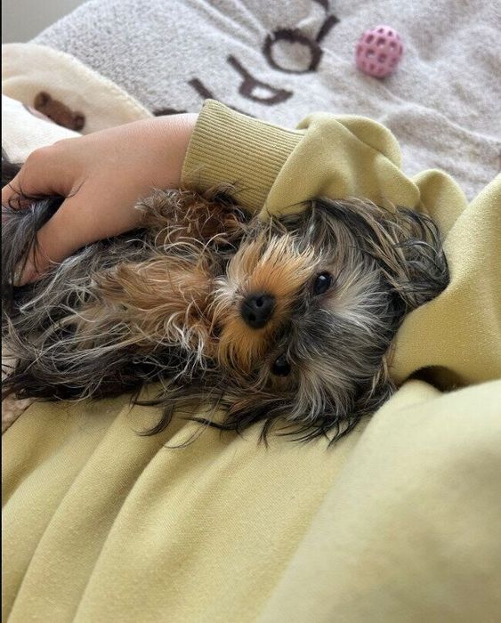 甘え上手な媛ちゃん