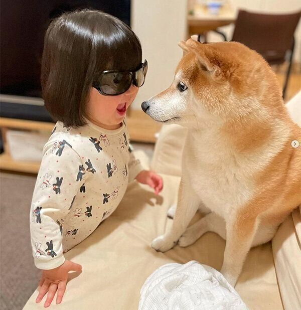 サングラスをかけてまるこちゃんを見つめる娘さん