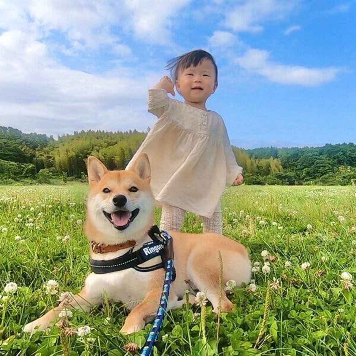 妹ちゃんとのコンビで大人気 りんご郎くんはラッキーボーイで特別な存在 特別企画 スマイルドッグ 愛犬にありがとうを叫ぼう いぬのきもちweb Magazine 妹ちゃんとのコンビで大人気 りんご郎くんはラッキーボーイで特別な存在 特別企画 スマイルドッグ 愛犬にありがとうを叫ぼう いぬのきもちweb Magazine