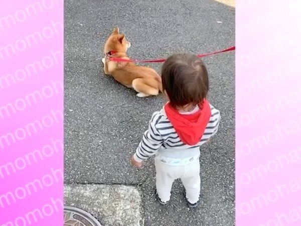 お散歩する花子ちゃんとモモ子ちゃん