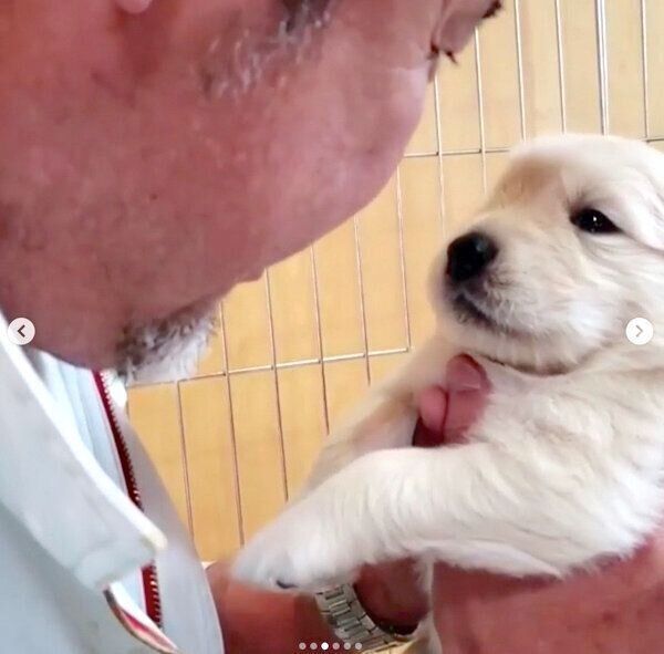 パパさんに抱っこされる子犬時代のアランくん