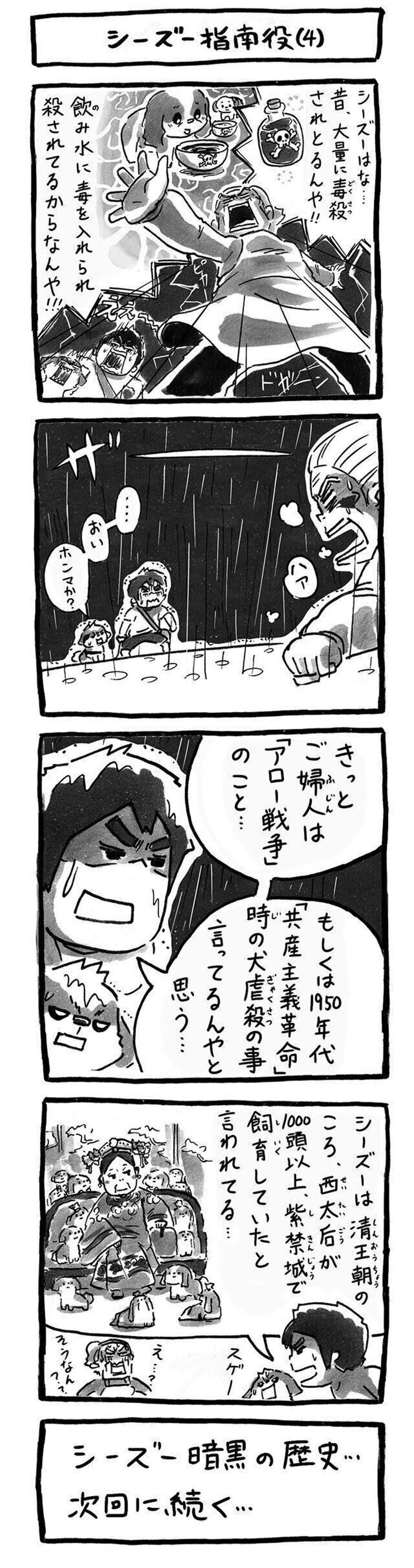 形勢逆転 ぶつかる二人のうんちく 連載 シーズー犬のてんぽ 第100回 いぬのきもちweb Magazine 形勢逆転 ぶつかる二人のうんちく 連載 シーズー犬のてんぽ 第100回 いぬのきもちweb Magazine