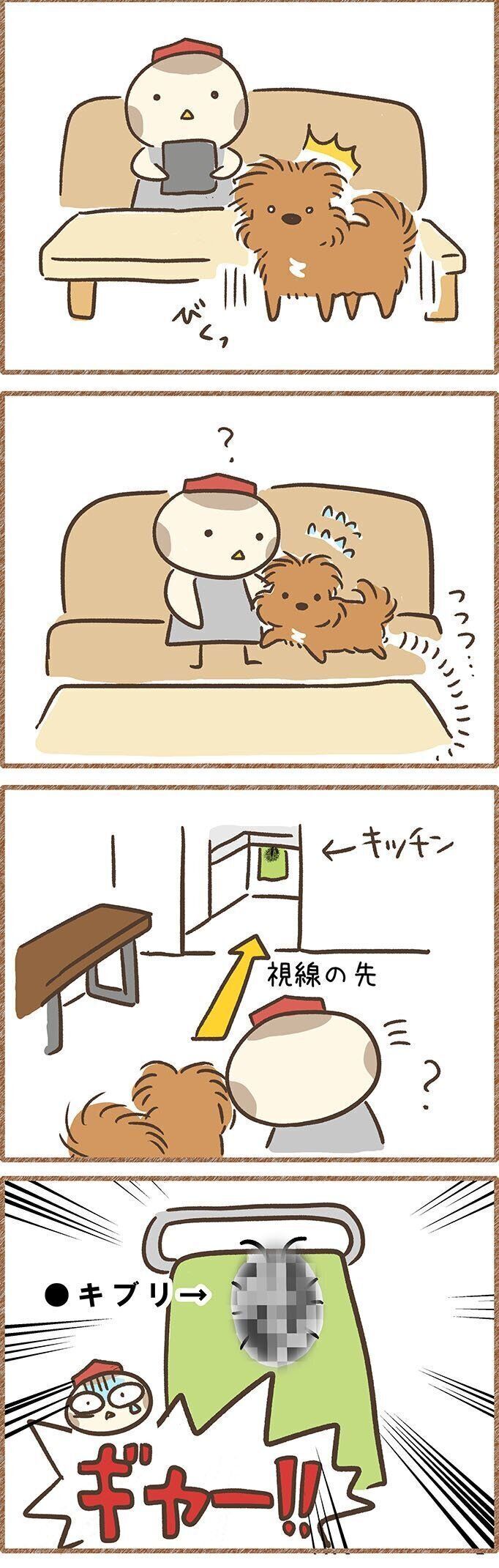 連載「こぐま犬てんすけ」