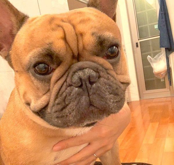 カメラ目線のガルムくん