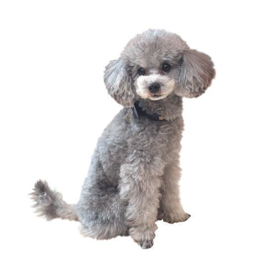 撮影／尾﨑たまき