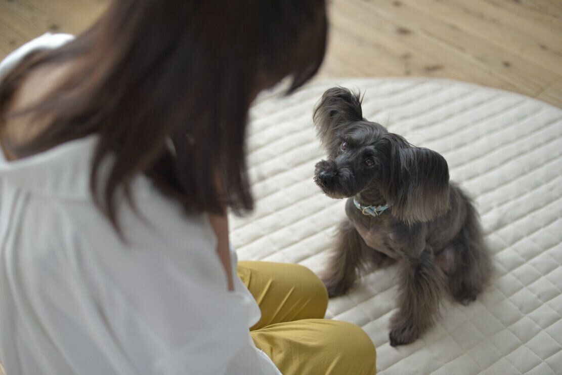 撮影／犬丸美絵