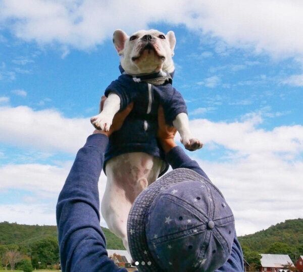 抱っこしてもらうぽんちゃん