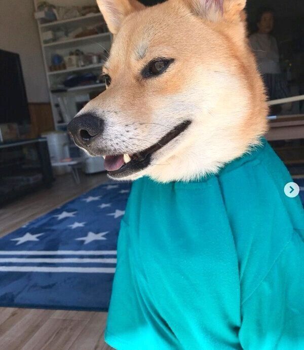 微笑む朔太郎くん