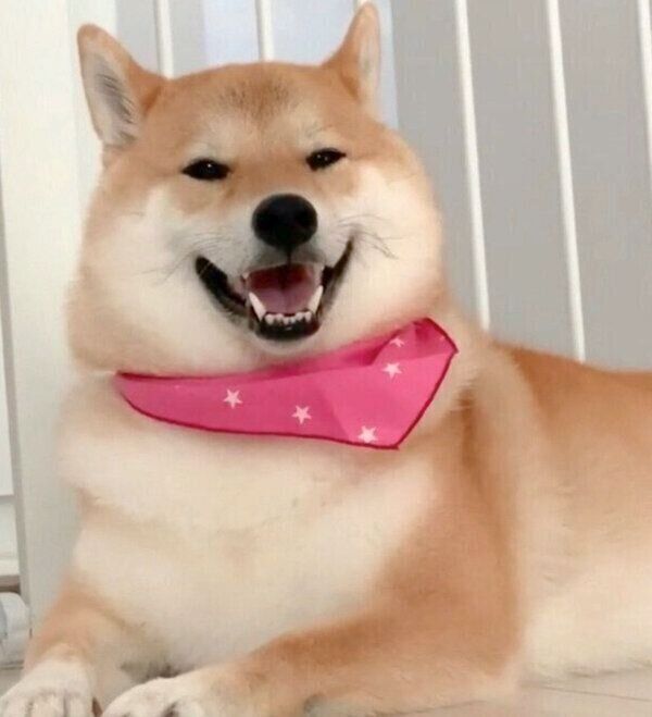 笑顔の味噌ちゃん