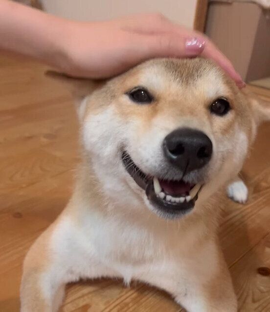 嬉しそうなユクちゃん