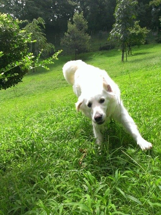 ルーシーちゃん