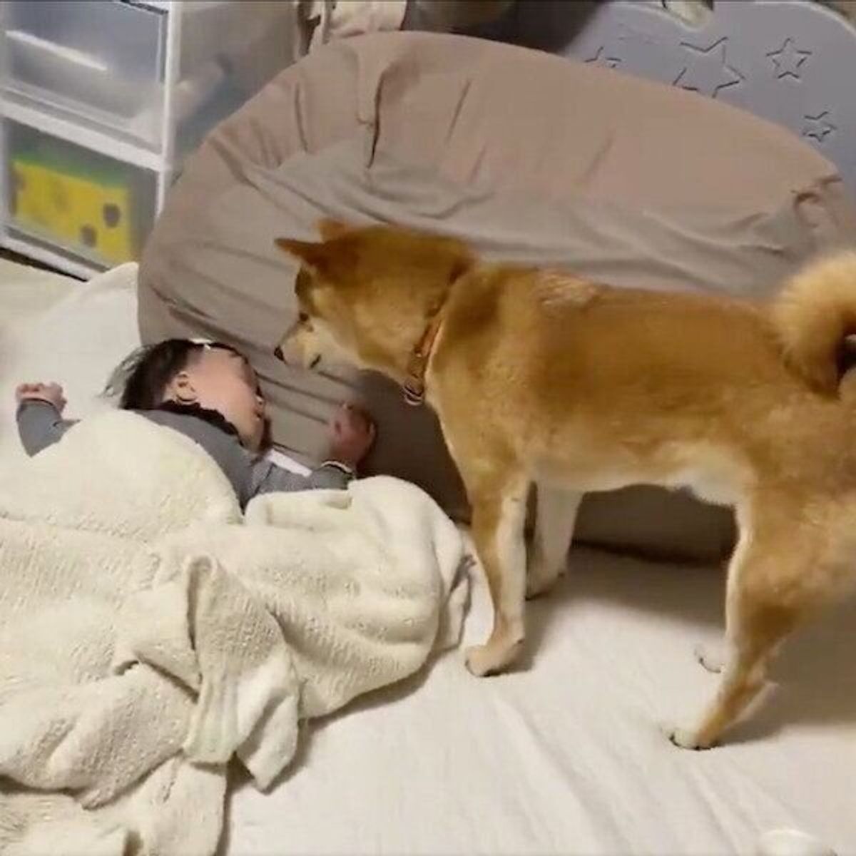 8b0w7kxmvmkxdm 8b0w7kxmvmkxdm