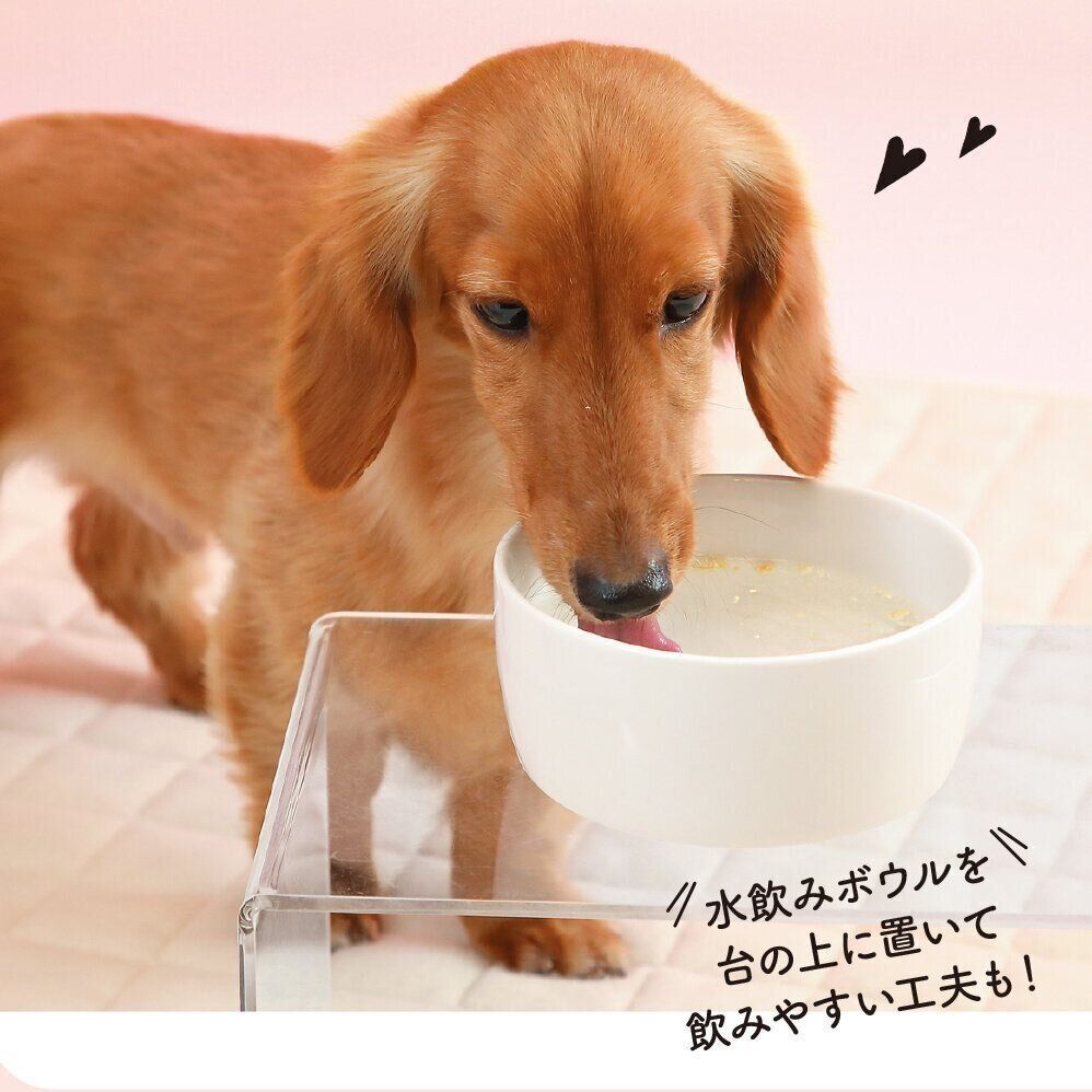 撮影／尾﨑たまき