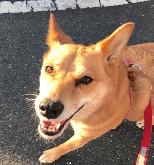 見つめる柚ちゃん