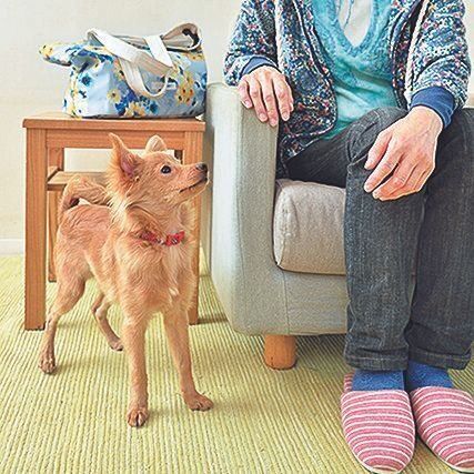 撮影／佐藤正之