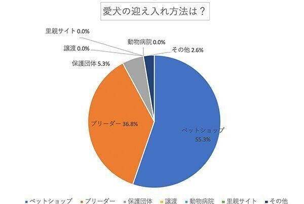 愛犬の迎え入れ方法は？