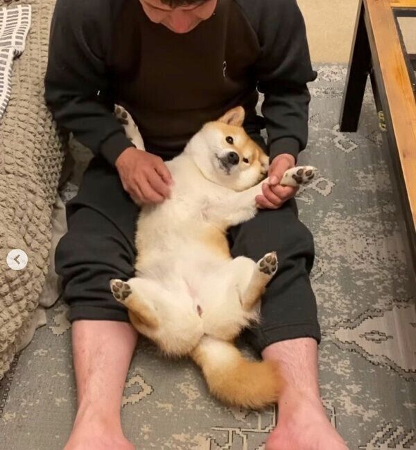 パパさんのマッサージでとろけてしまう小雨ちゃん