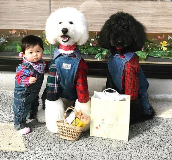 洋服を着るくぅさん・りっくん・まめちゃん