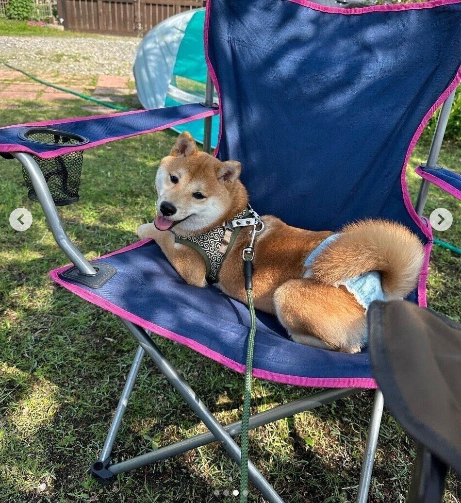 楽しそうなたまごちゃん