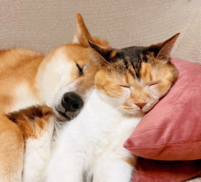 仲よしじゃないようには見えない!?