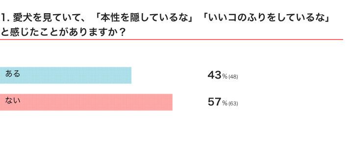 いぬのきもちWEB MAGAZINE『犬の行動に関するアンケートvol.26』