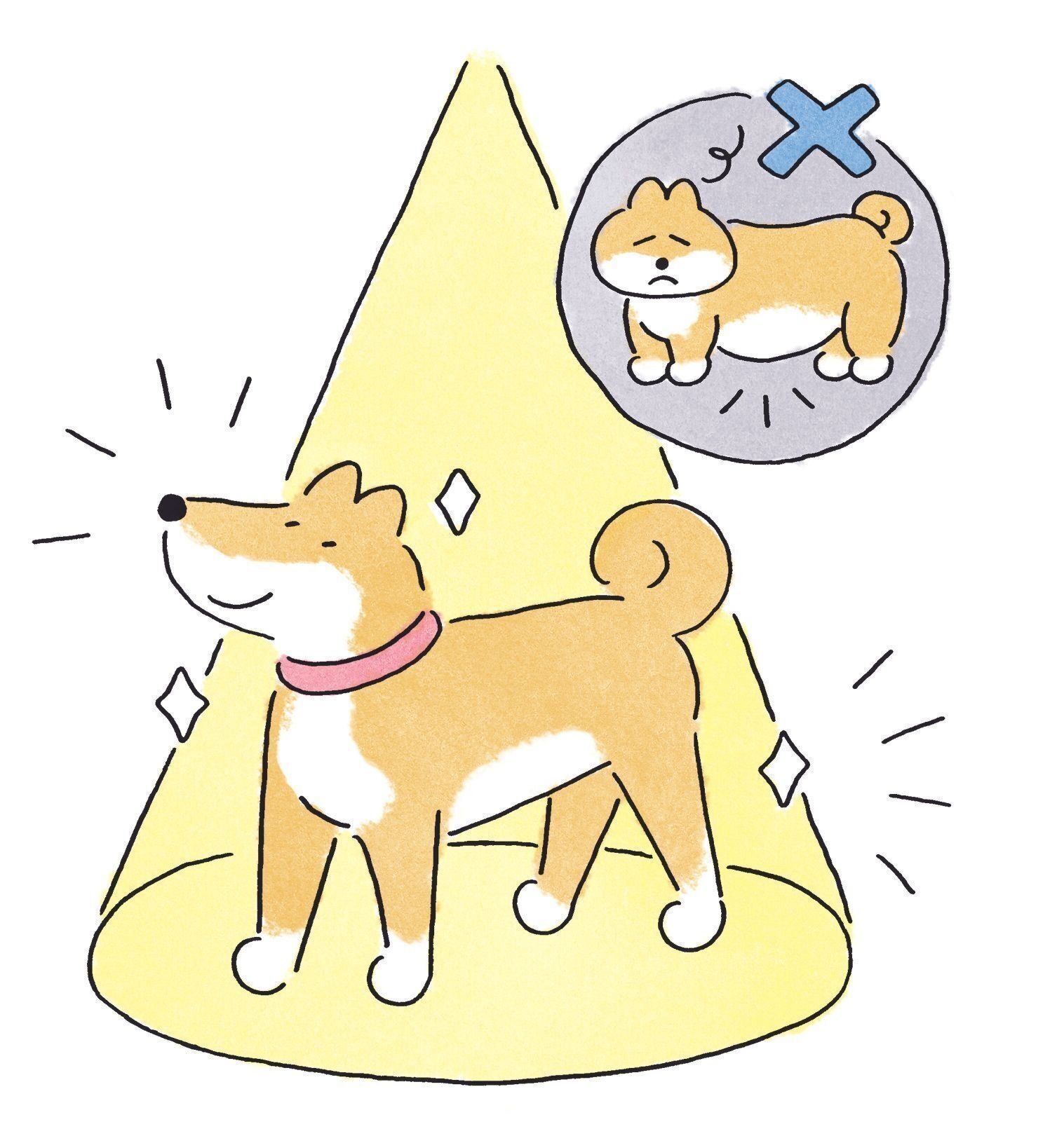 イラスト／鈴木衣津子