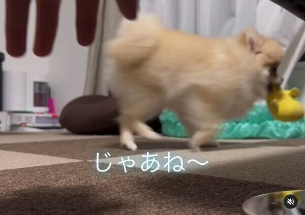 逃げるころっけちゃん