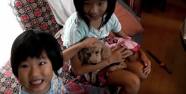 子どもに囲まれるトイ・プードル