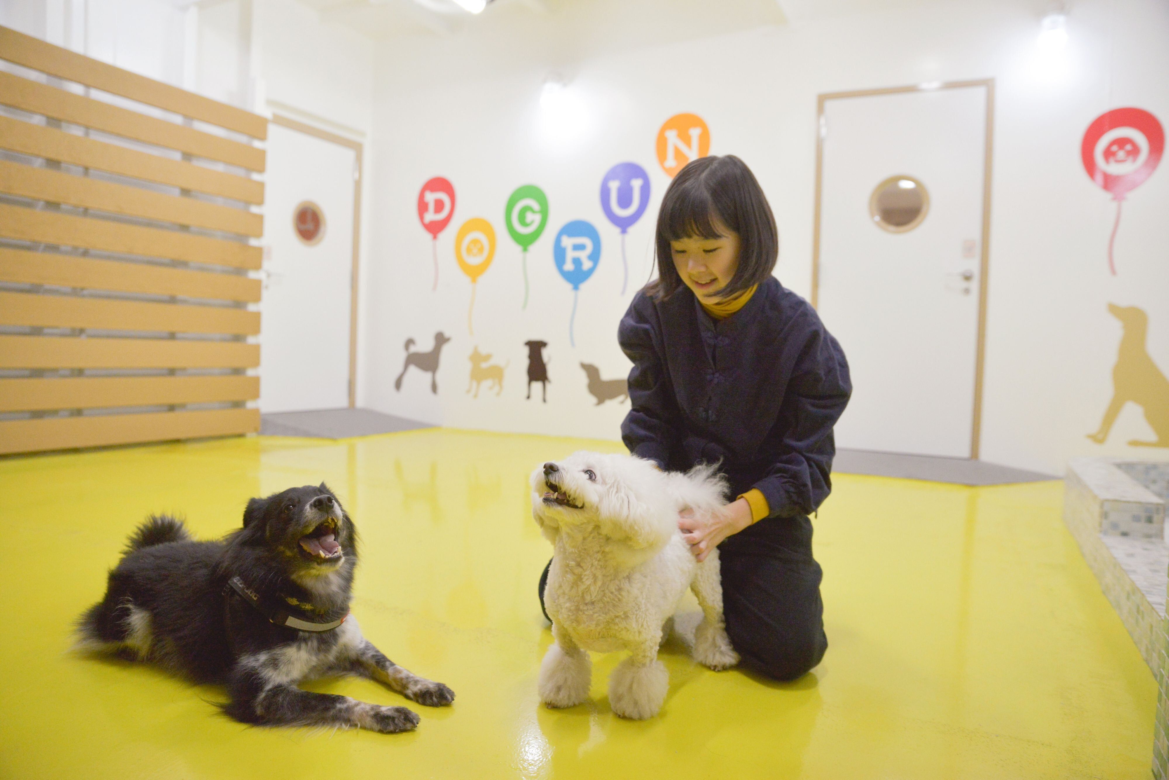 愛犬もニコニコです！