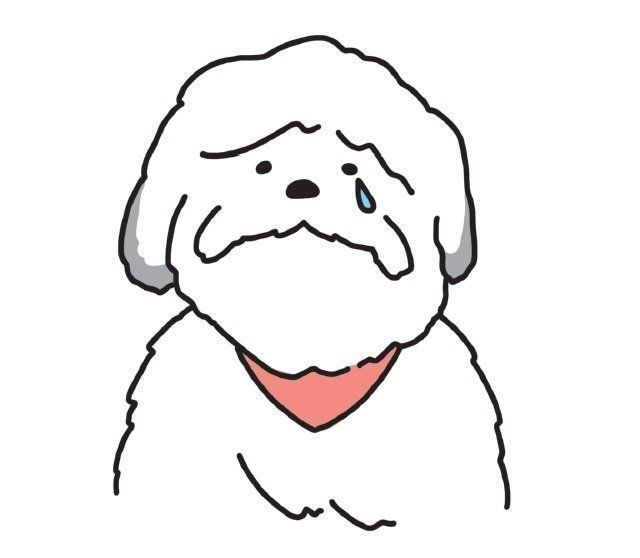 イラスト／北構まゆ