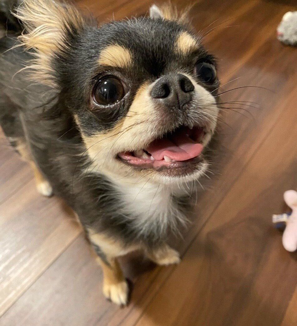 笑顔が可愛いゆきちゃん