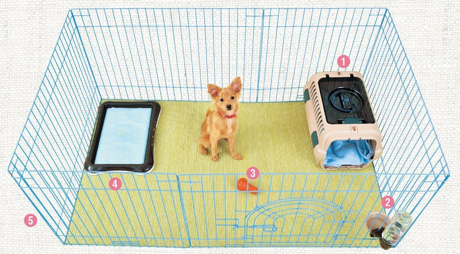 撮影／佐藤正之