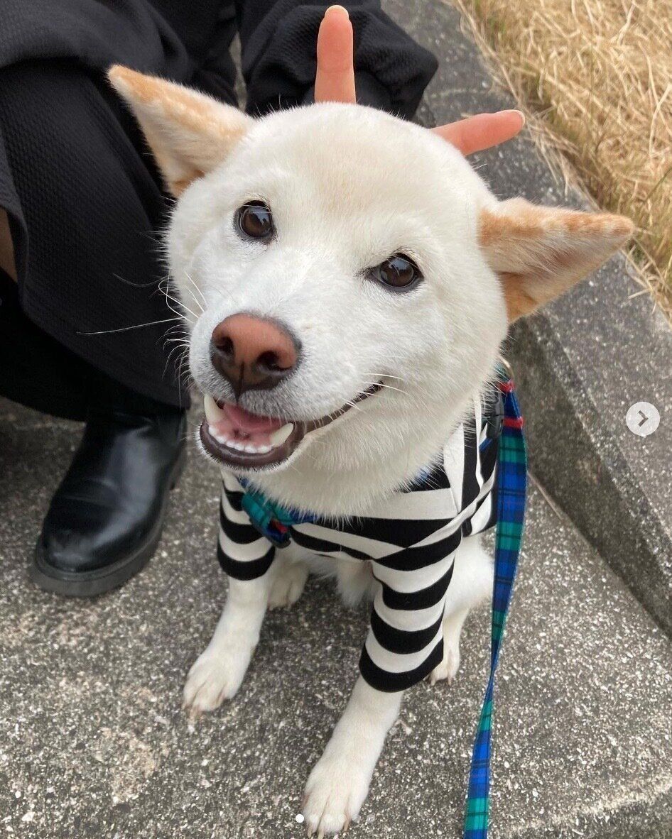 笑顔が可愛い雪丸くん