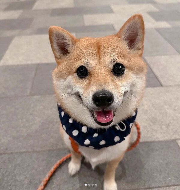 笑顔が可愛い春ちゃん