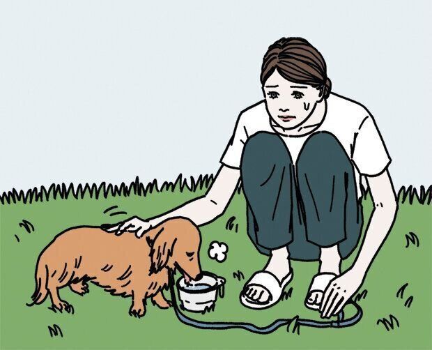 自力で水が飲める場合は飲ませて