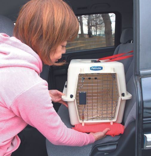 クレートやドライブボックスが揺れたり斜めだったりすると、犬は落ち着きません。タオルなどを当てて調整を