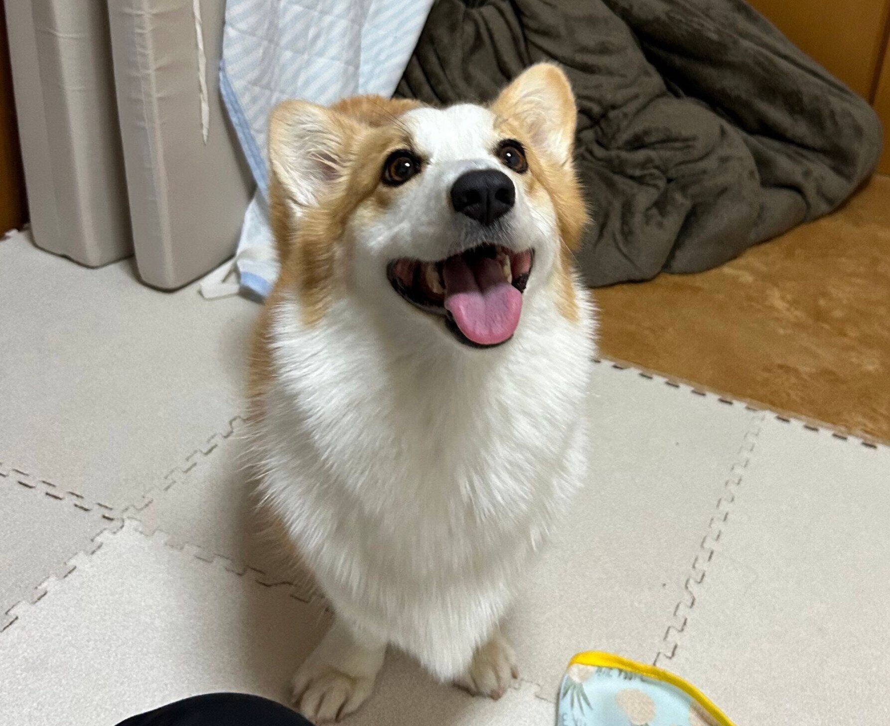 笑顔のピノちゃん