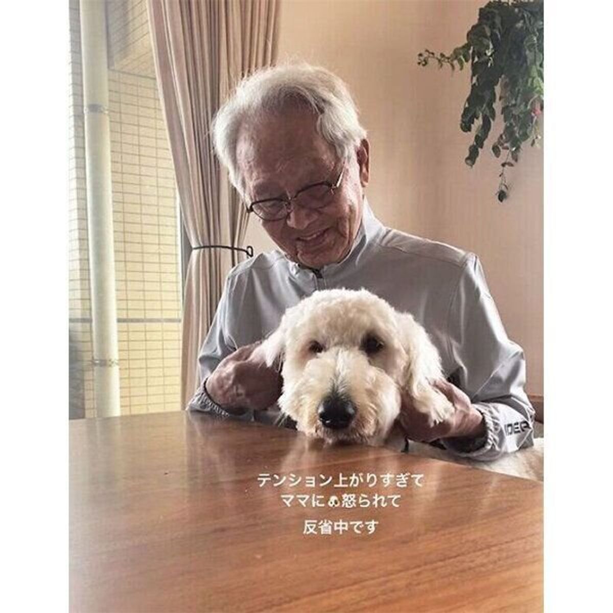 怒られちゃったから慰めて 大好きなおじいちゃんに甘える大型犬 ふたりの関係性が素敵すぎた いぬのきもちweb Magazine 怒られちゃったから慰めて 大好きなおじいちゃんに甘える大型犬 ふたりの関係性が素敵すぎた いぬのきもちweb Magazine