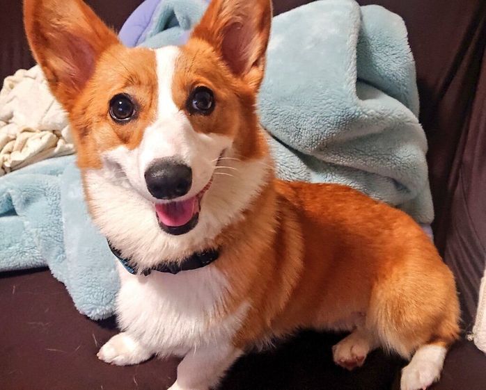 笑顔が可愛いうなぎちゃん