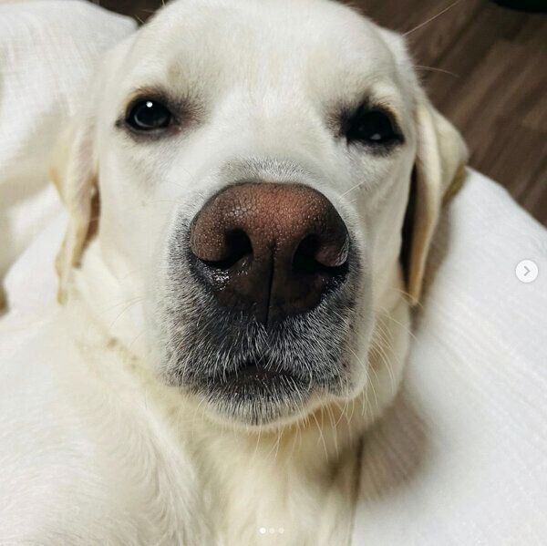 まったりするイソくん