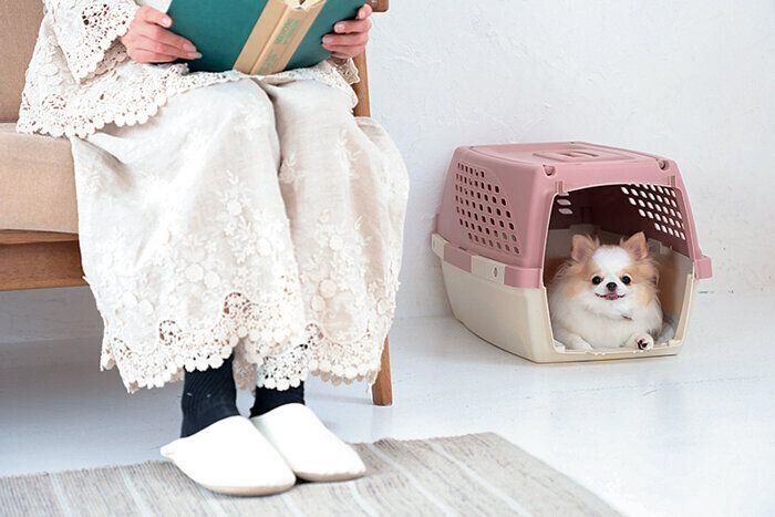 クレートの中でくつろぐ犬