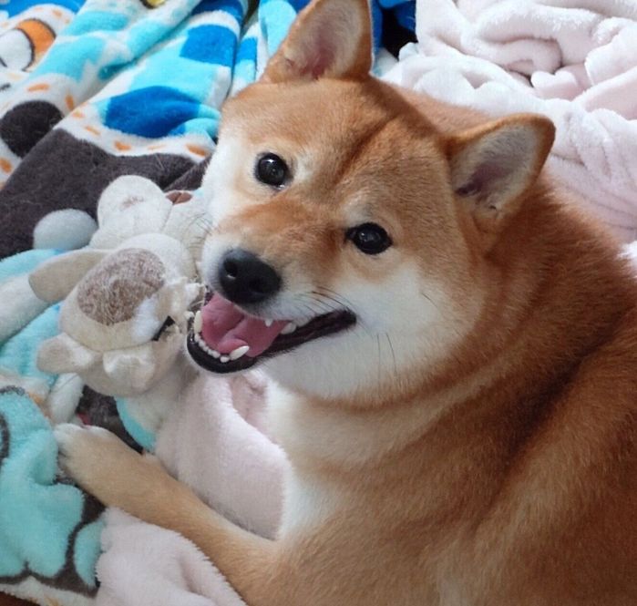 おもちゃで遊ぶひなたちゃん