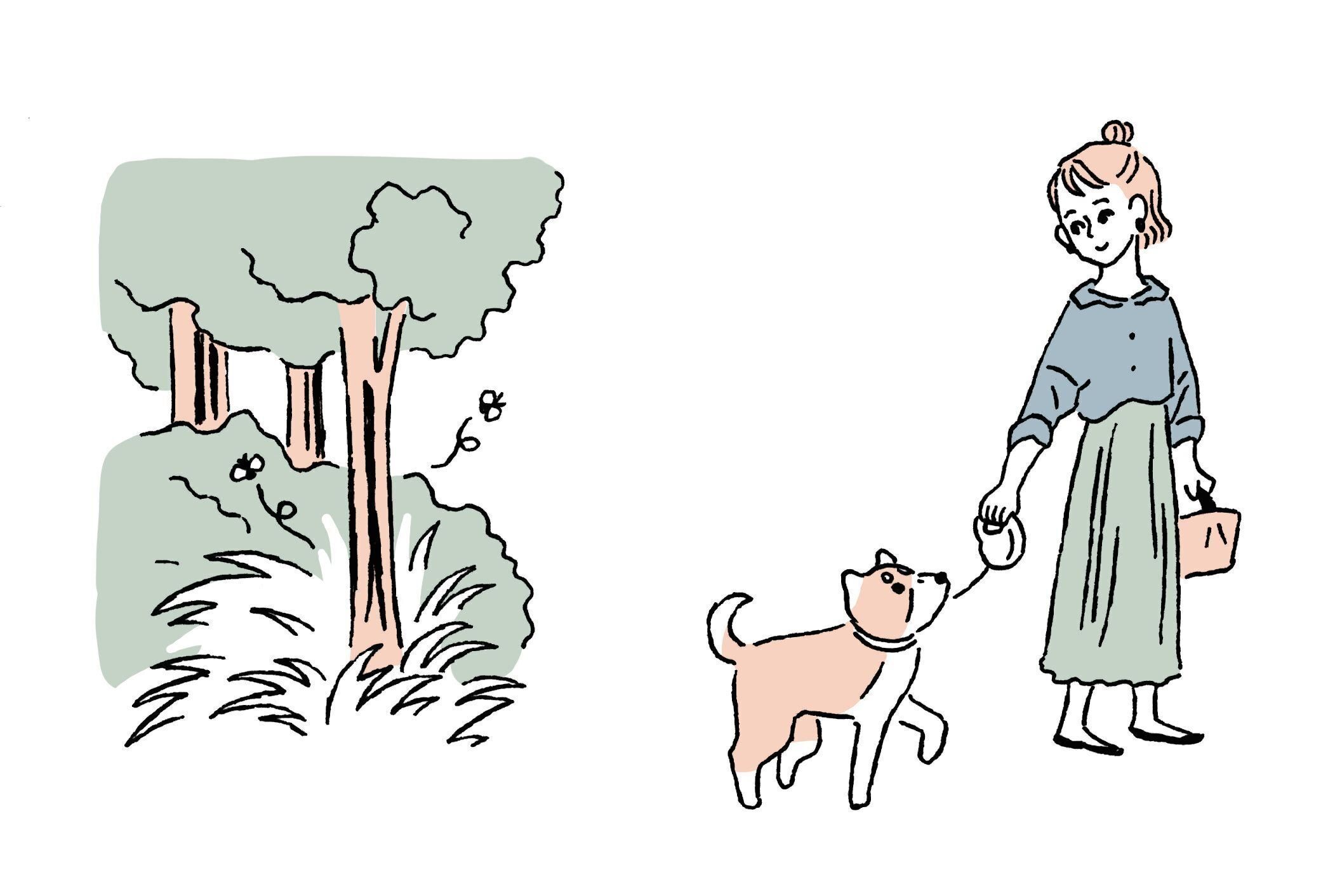 イラスト／Yu Tokumaru