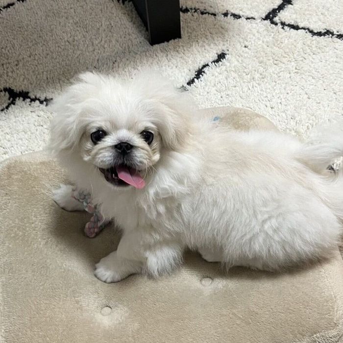 4カ月のてんまるくん